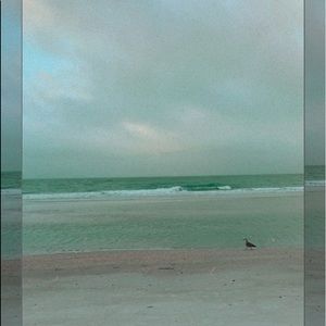 Meet your Posher, Kaeli